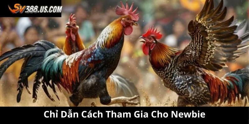 Cá Cược SV388 – Sân Chơi Đỉnh Cao, Trải Nghiệm Cược Cực Đã Chỉ dẫn cách tham gia cho newbie