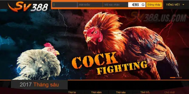 Đăng Ký SV388 | Hướng Dẫn Mở Tài Khoản Cực Kỳ Đơn Giản Đăng ký SV388 tạo account cực dễ