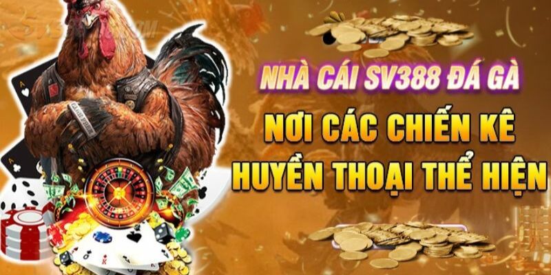SV388 Trực Tiếp Gà Đòn - Giải Trí Đỉnh Cao Và Đầy Kịch Tính Điểm danh 3 lợi thế của SV388 trực tiếp gà đòn