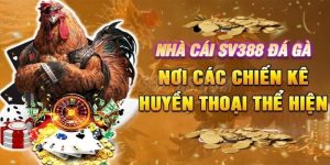 Nhà Cái Đá Gà SV388 | Gợi Ý Top 3 Loại Hình Hot Nhất Nên Thử
