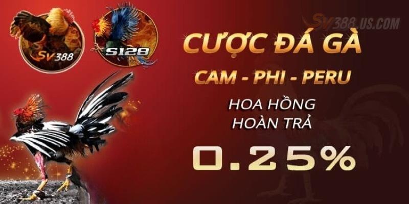 Nhà Cái Đá Gà SV388 | Gợi Ý Top 3 Loại Hình Hot Nhất Nên Thử Gợi ý top 3 hình thức hot nhất