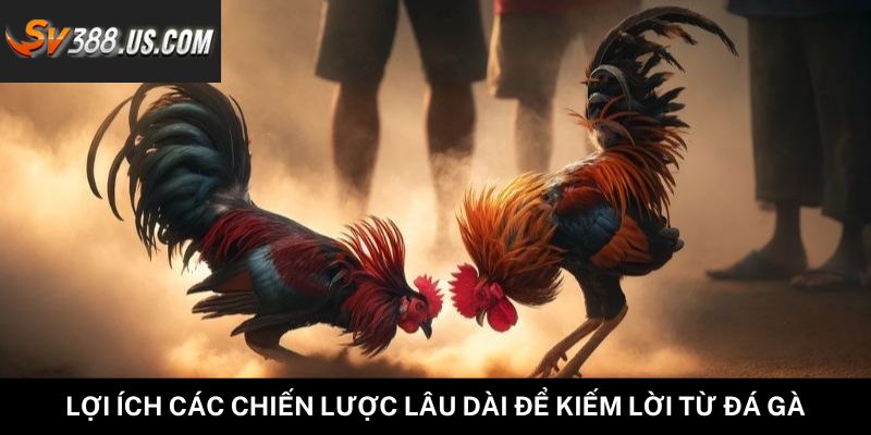 Các Chiến Lược Lâu Dài Để Kiếm Lời Từ Đá Gà Hiệu Quả Nhất Lợi ích các chiến lược lâu dài để kiếm lời từ đá gà