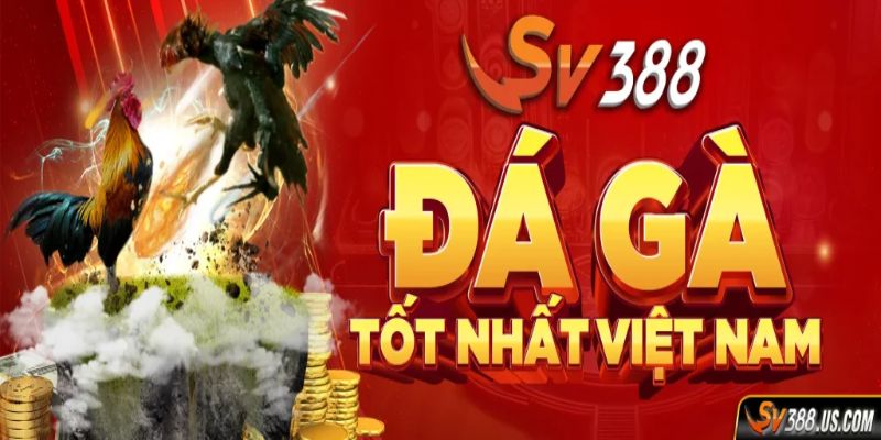 Mẹo Đặt Cược SV388 Cho Người Mới Bắt Đầu Đánh Đâu Thắng Đó SV388 là sân chơi được ưa chuộng