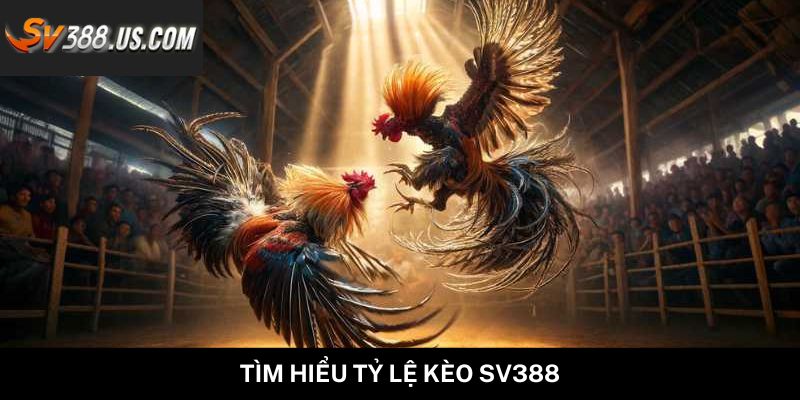 Tỷ Lệ Kèo SV388 | Tổng Hợp 4 Loại Hình Được Yêu Thích Nhất Tìm hiểu tỷ lệ kèo SV388