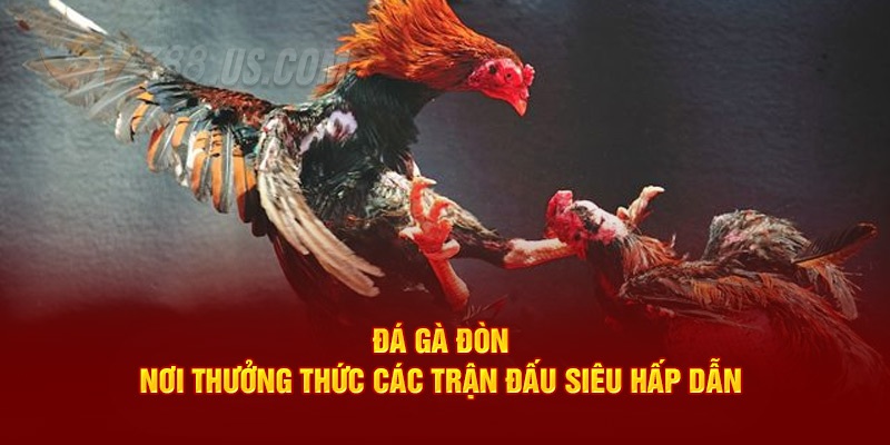 SV388 Casino Gà Đòn - Sân Chơi Rực Lửa Đình Đám Nhất Hiện Nay Ưu điểm khi chơi casino gà đòn