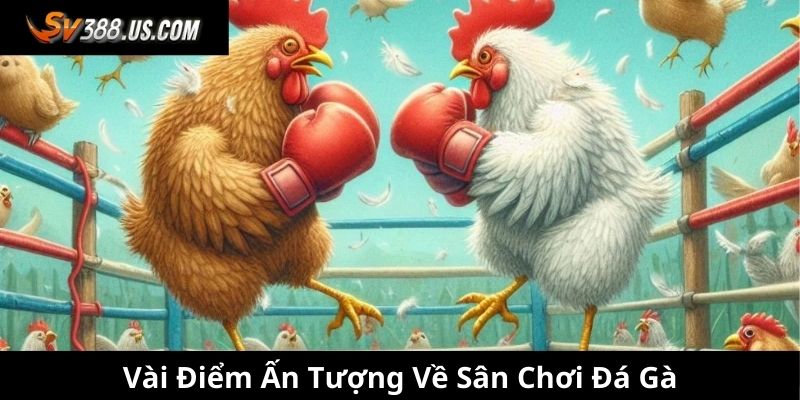 Cá Cược SV388 – Sân Chơi Đỉnh Cao, Trải Nghiệm Cược Cực Đã Vài điểm ấn tượng về sân chơi đá gà