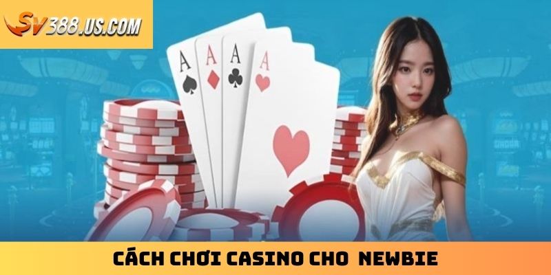 Hướng Dẫn Cách Chơi Casino SV388 Cho Người Mới Nhập Môn Cách chơi casino cho newbie