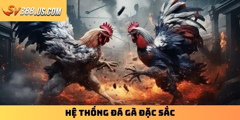Khám Phá Sòng Bạc Trực Tuyến Đẳng Cấp Top Đầu Hiện Nay Hệ thống đá gà đặc sắc