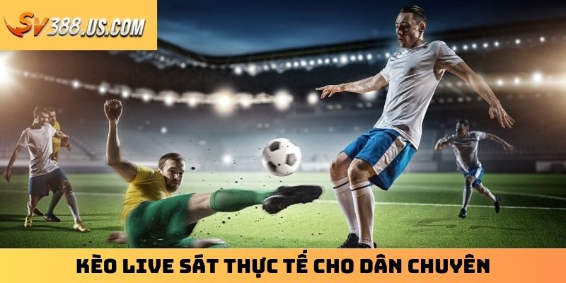 Cá Cược Thể Thao – Sân Chơi Cực Cháy Cho Tín Đồ Đam Mê Kèo live sát thực tế cho dân chuyên