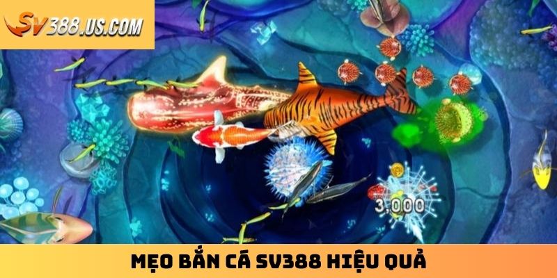 Mẹo Bắn Cá SV388 – Bật Mí Kỹ Năng Thiện Xạ Siêu Hạng Mẹo bắn cá SV388 hiệu quả