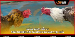 da ga truc tiep c1 1 11zon